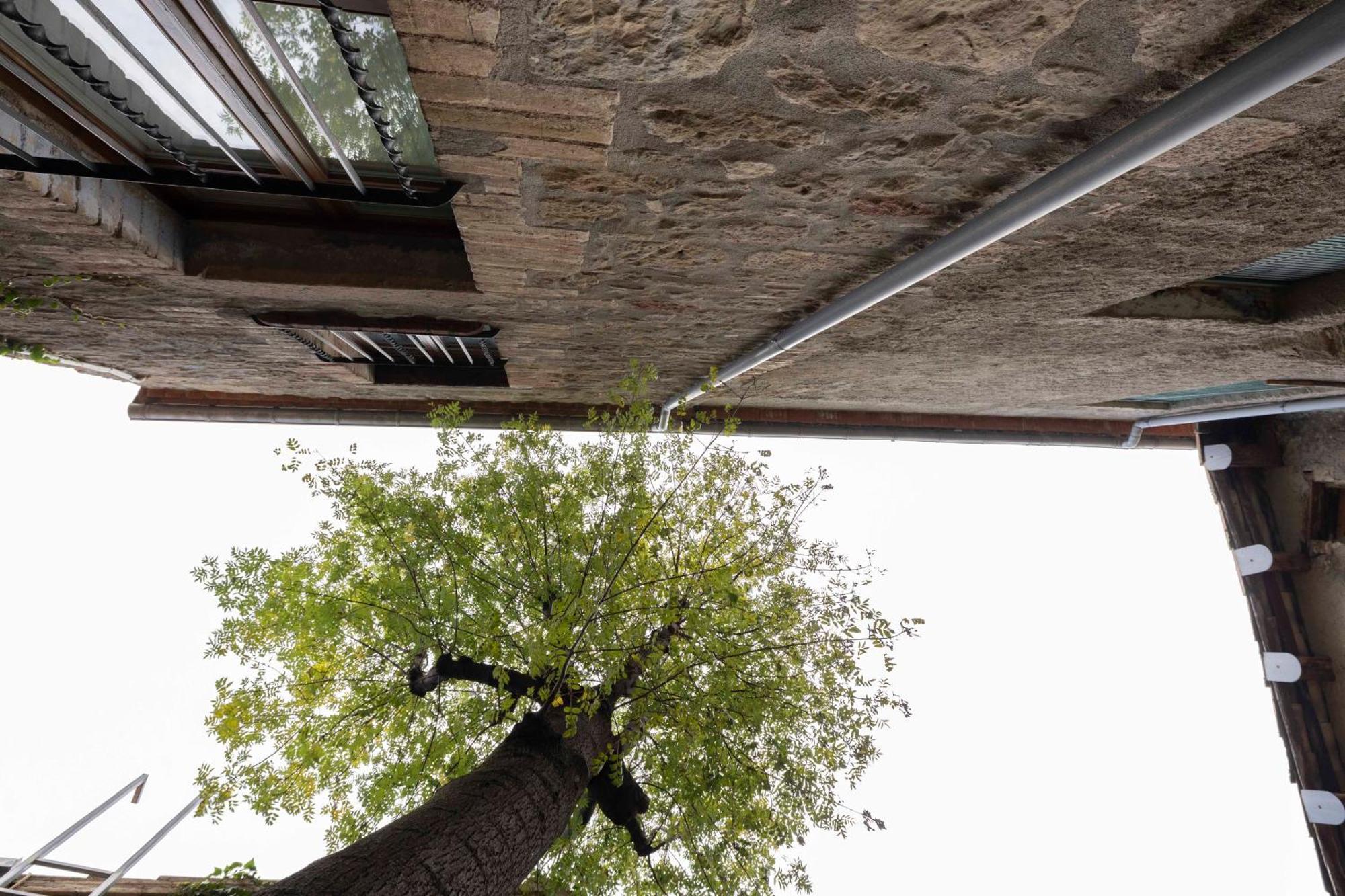 Hotel La Freixera Solsona Zewnętrze zdjęcie