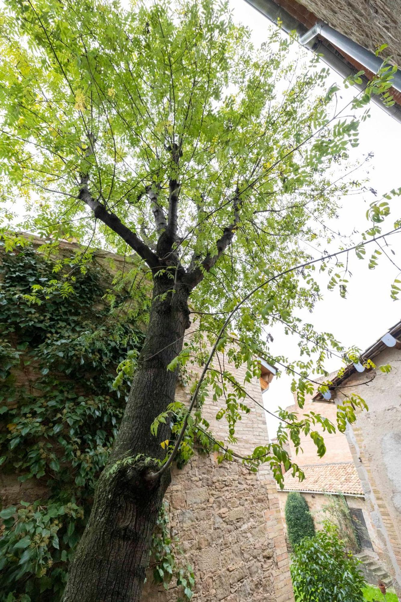 Hotel La Freixera Solsona Zewnętrze zdjęcie