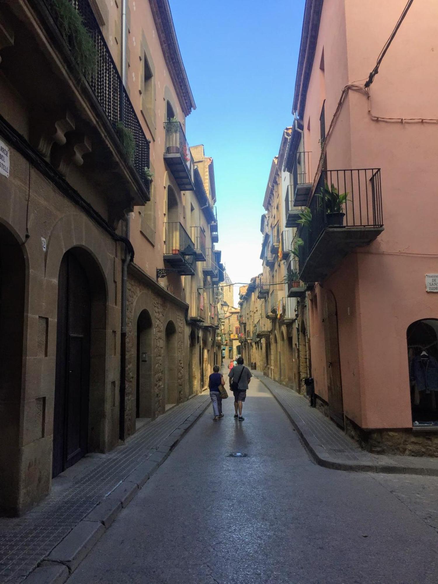 Hotel La Freixera Solsona Zewnętrze zdjęcie